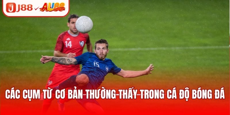 Khám Phá Thuật Ngữ Bóng Đá Dành Cho Người Mới Tại J88 2 Các cụm từ cơ bản thường thấy trong cá độ bóng đá