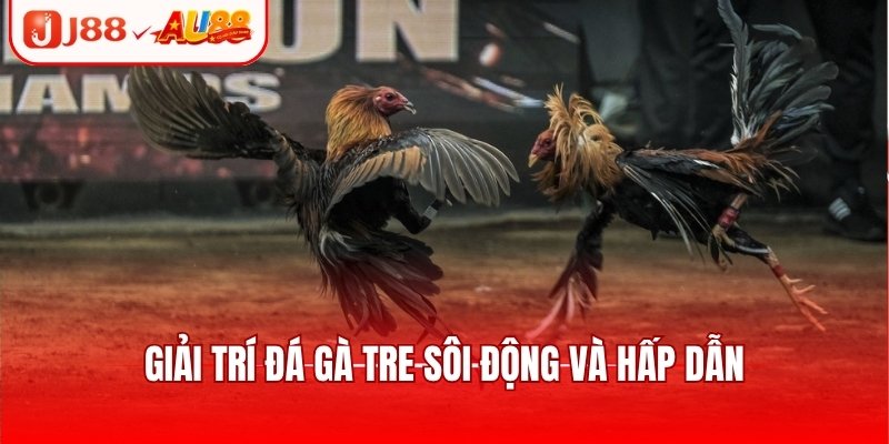 Đá Gà SV388 - Sảnh Chơi Kịch Tính, Cập Nhật Trận Đấu Hot 3 Giải trí đá gà tre sôi động và hấp dẫn