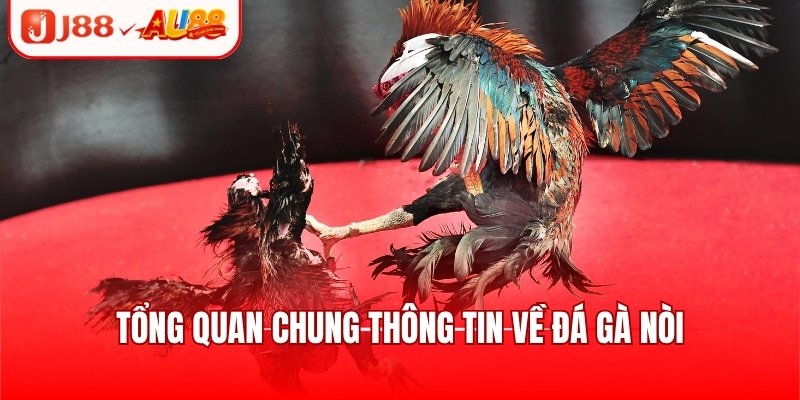 Đá Gà SV128 - Sảnh Giải Trí Uy Tín, Nhiều Trận Đấu Hot 1 Giới thiệu qua thông tin cơ bản về đá gà SV128
