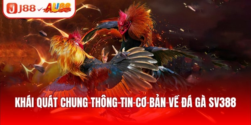 Đá Gà SV388 - Sảnh Chơi Kịch Tính, Cập Nhật Trận Đấu Hot 1 Khái quát chung thông tin cơ bản về đá gà SV388