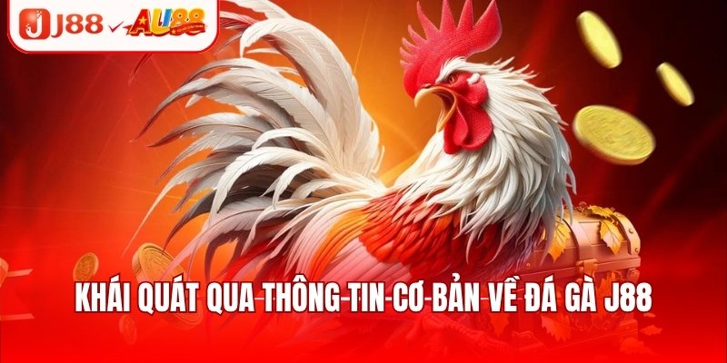 Khái quát qua thông tin cơ bản về đá gà J88