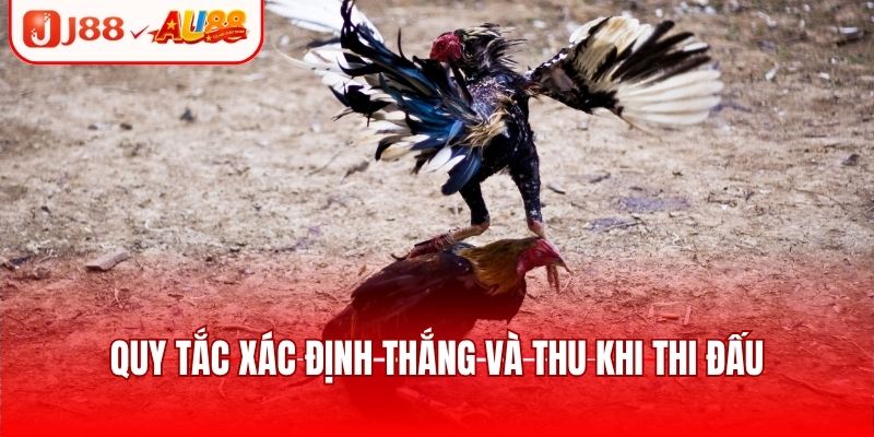 Đá Gà SV128 - Sảnh Giải Trí Uy Tín, Nhiều Trận Đấu Hot 2 Trận đấu có mức trả thưởng cao tại các cửa cược